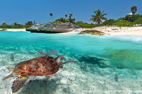 plage-akumal-riviera-maya.jpg