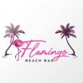 Beach Flamingo.jpeg